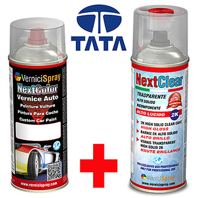 The best colour match Car Touch Up Kit TATA INDICA VISTA